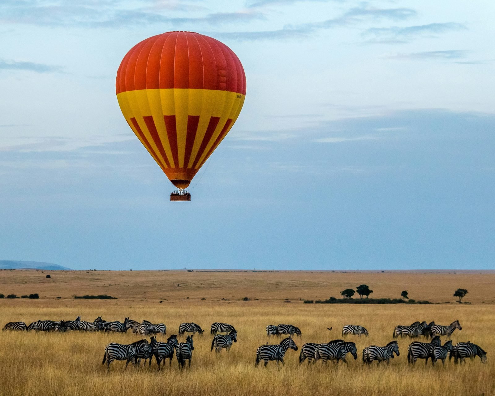 Cultural Safari